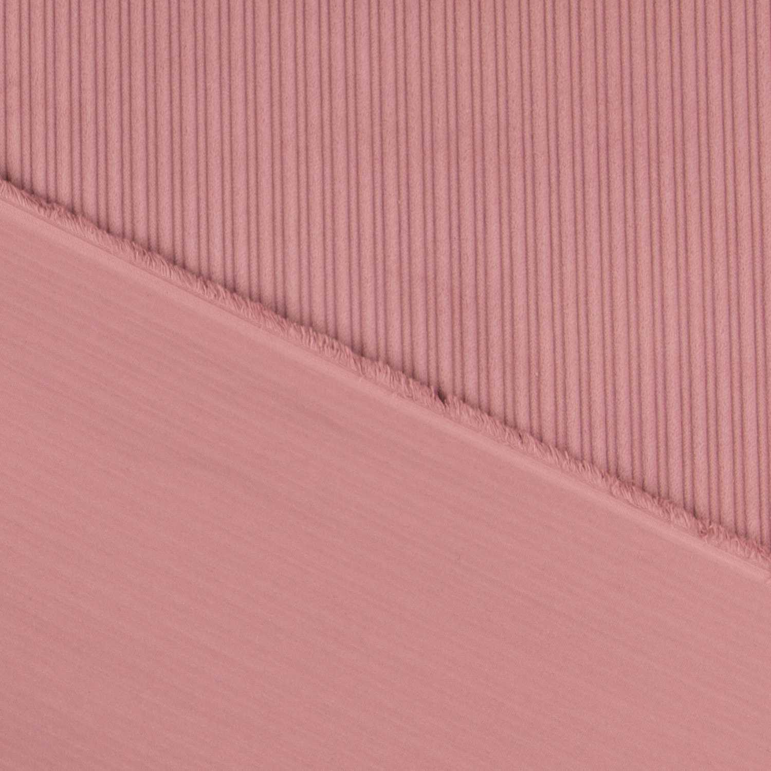 Breiter Cord-Stoff Nude - Ribes y Casals