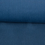 Blauer Kord-Stoff - Ribes y Casals