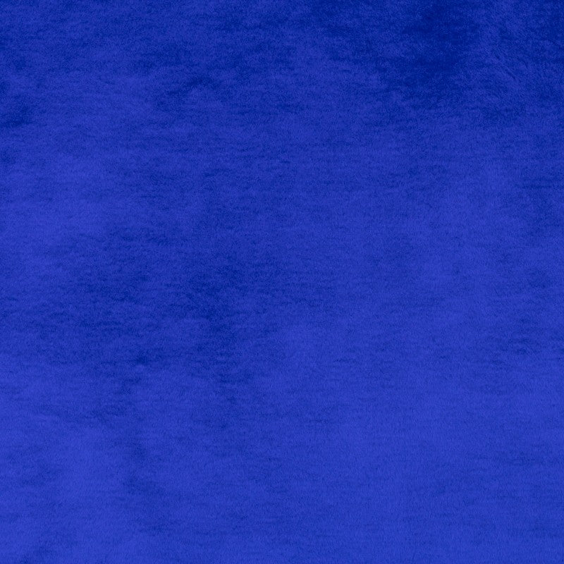 Elektrisch Blau Kurzhaar Stoff - Ribes y Casals