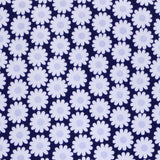 Pique Canutillo-Stoff Margaritas Marineblau - Ribes y Casals
