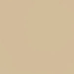 Flat Polyester Beige Retal - Verschiedene Größen x Breite 150 cm - Ribes y Casals