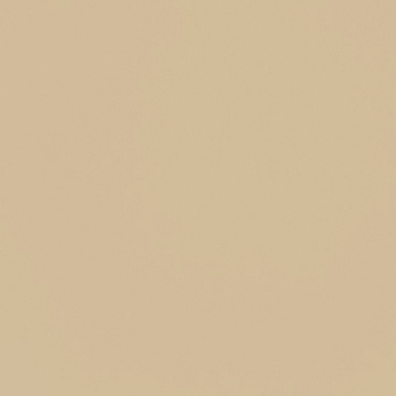 Flat Polyester Beige Retal - Verschiedene Größen x Breite 150 cm - Ribes y Casals