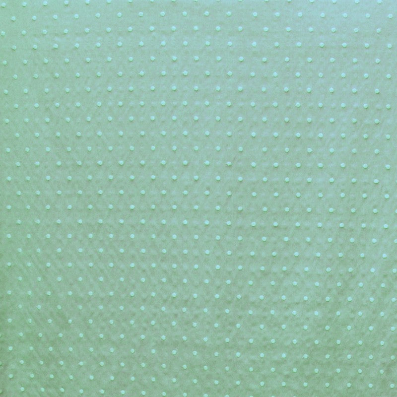 Ton-in-Ton bestickter Polka-Dot-Popeline-Stoff Water Green - Ribes y Casals