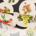Anti-Fleck-Tuch Obstschale - Ribes y Casals