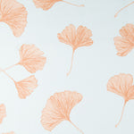 Ginkgo Biloba Celeste - Ribes y Casals