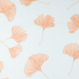 Ginkgo Biloba Celeste - Ribes y Casals