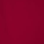 Polytecno Bielastic Rubinrot - Ribes y Casals