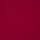 Polytecno Bielastic Rubinrot - Ribes y Casals