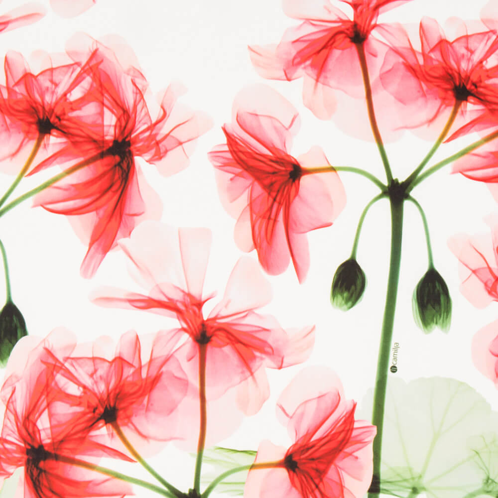 Lycra Matt Fein Floral Weiß - Ribes y Casals