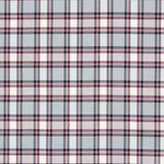 Türkis karierter Twill - Ribes y Casals