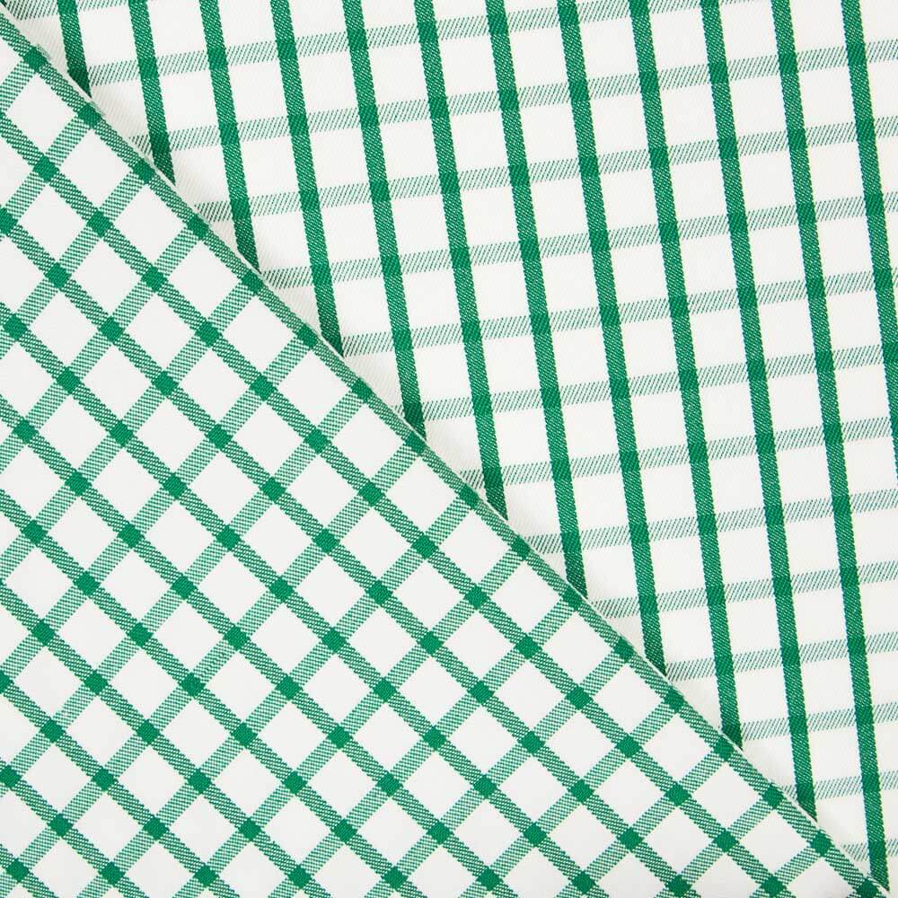 Grün karierter Twill - Ribes y Casals