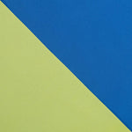 Grün-blauer Reversible-Taft - Ribes y Casals