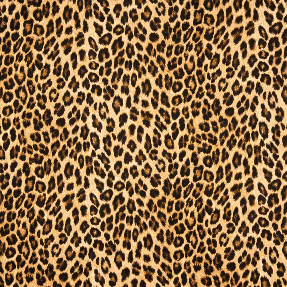 Satin Matt Leopard - Ribes y Casals