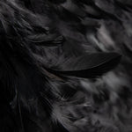 Stoff Federn Schwarz - Ribes y Casals