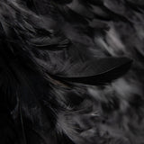 Stoff Federn Schwarz - Ribes y Casals