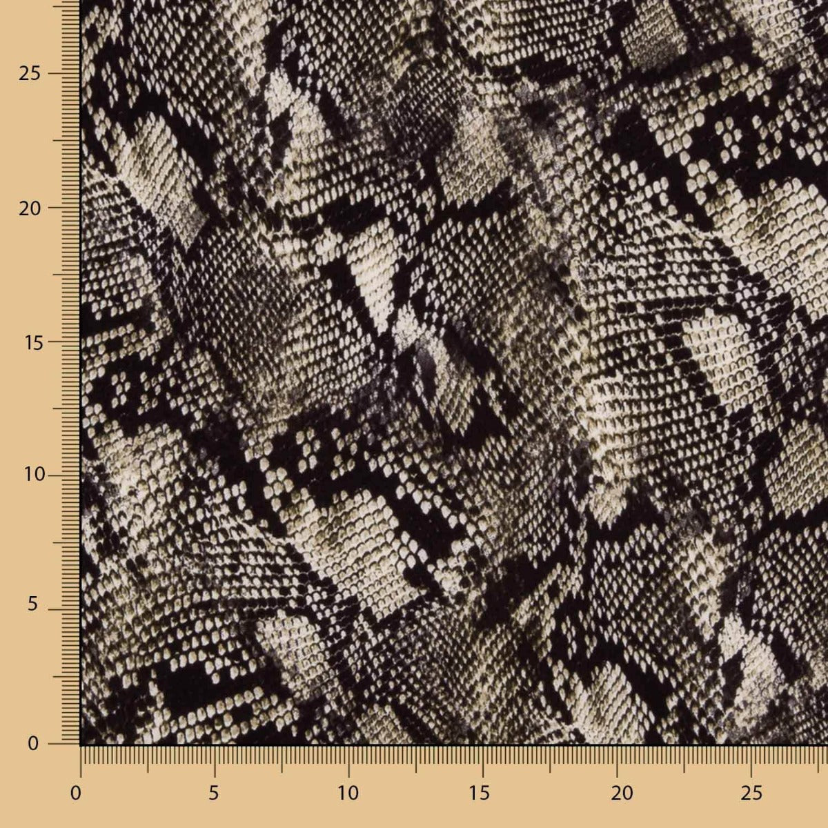 Schlange Bielastic - Ribes y Casals