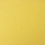 Tencel Denim Limette - Ribes y Casals