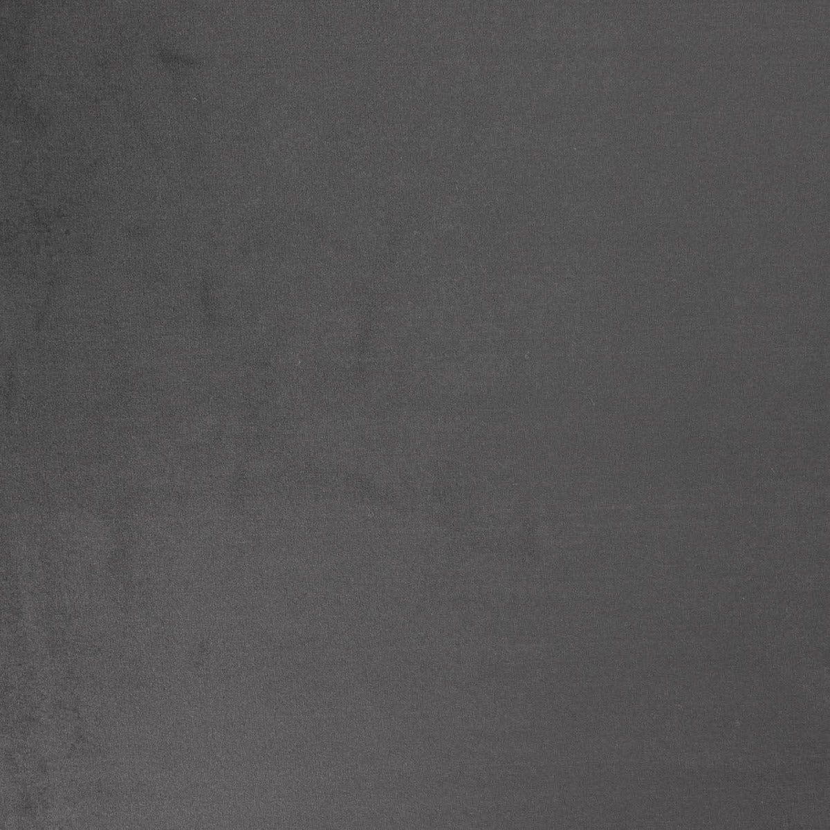 Samtvorhang 280cm Blei Grau - Ribes y Casals