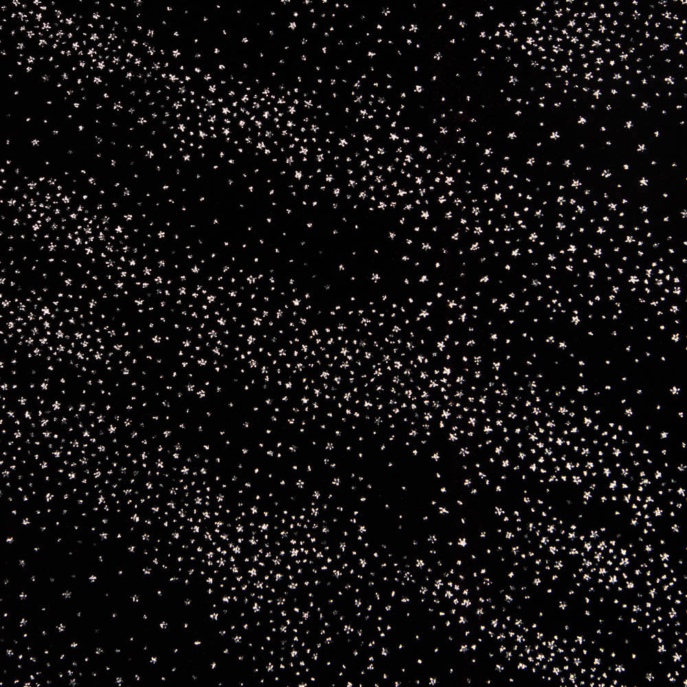 Samt Spandex Sparkles Schwarz - Ribes y Casals