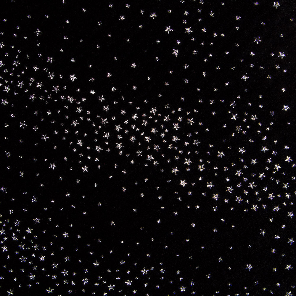 Samt Spandex Sparkles Schwarz - Ribes y Casals