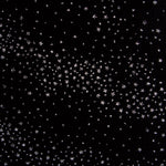 Samt Spandex Sparkles Schwarz - Ribes y Casals