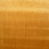 Samt Lycra Kamel - Ribes y Casals