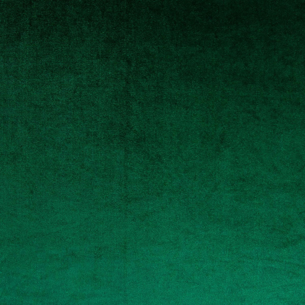 Grüner Lycra-Samt - Ribes y Casals