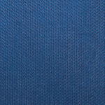 TNT Blau - Ribes y Casals