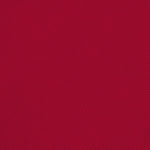 TNT-Rot - Ribes y Casals