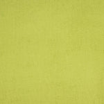 Frotteehandtuch Baumwolle Lime - Ribes y Casals
