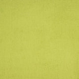 Frotteehandtuch Baumwolle Lime - Ribes y Casals