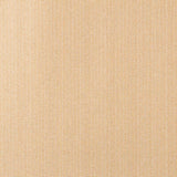 Camel Polyethylen Sonnenschutz Markise - Ribes y Casals