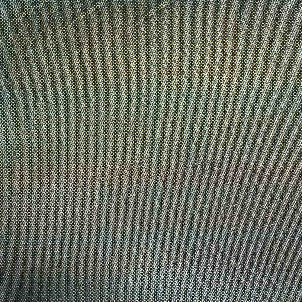 Holografie Elastischer Tüll Schwarz - Ribes y Casals