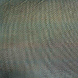 Holografie Elastischer Tüll Schwarz - Ribes y Casals