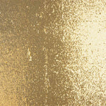 Nackt Gold Glänzend Pailletten Tüll - Ribes y Casals