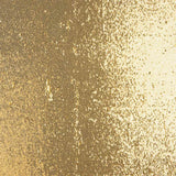 Nackt Gold Glänzend Pailletten Tüll - Ribes y Casals