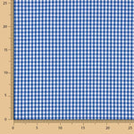 Vichy Blau Mini Bild - Ribes y Casals