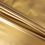 Latex Vinyl Gold - Ribes y Casals