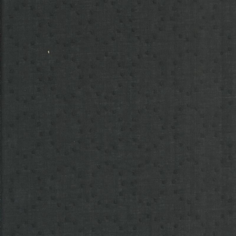 Voile Plumetti Schwarz - Ribes y Casals