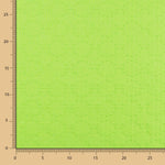 Voile Plumetti Fluor Grün - Ribes y Casals