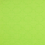 Voile Plumetti Fluor Grün - Ribes y Casals