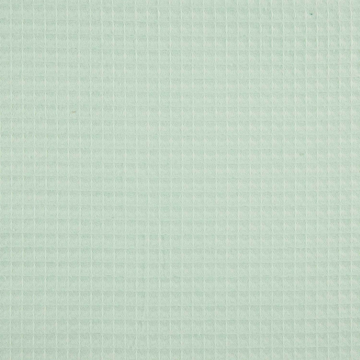 Piqué-Waffel Basic Mint - Ribes y Casals